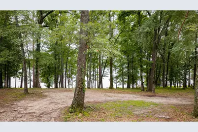 Tbd Naus Drive, Winnsboro, TX 75494 - Photo 10