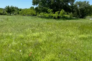 1057 Hereford Dr, Springtown, TX 76082 - Photo 24