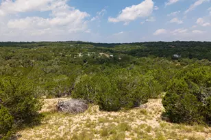 121 Spring Cove, Dripping Springs, TX 78620 - Photo 38