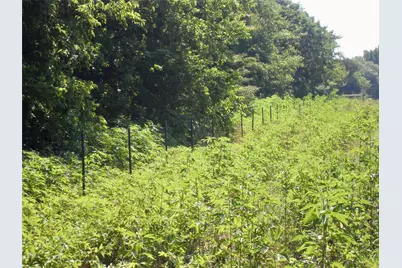0000 Fm 1532, Commerce, TX 75428 - Photo 2