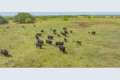 2901 Fm 1476, Dublin, TX 76446 - Photo 4