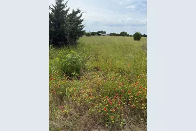 Lot 3R County Road 1077 #1.075 acre, Farmersville, TX 75442 - Photo 8