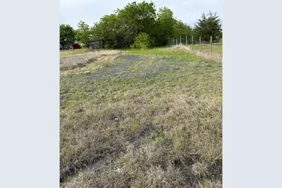 Lot 3R County Road 1077 #1.075 acre, Farmersville, TX 75442 - Photo 6