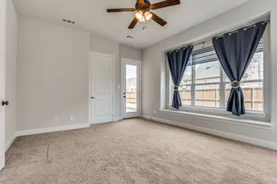 401 Wild Peach Point, Wylie, TX 75098 - Photo 24