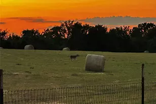 5770 W Hwy 199, Springtown, TX 76082 - Photo 28