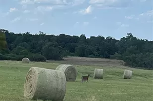 5770 W Hwy 199, Springtown, TX 76082 - Photo 28