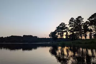 [Address not provided], LaRue, TX 75770 - Photo 1