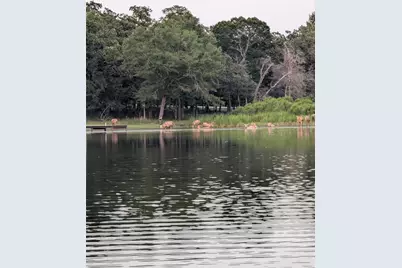 [Address not provided], LaRue, TX 75770 - Photo 24