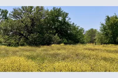 2031-02 County Road  3310, Valley Mills, TX 76689 - Photo 4