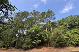165 Whipporwill Ln, Holly Lake Ranch, TX 75765 - Photo 1