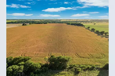 1188 Hcr 3138 N, Bynum, TX 76631 - Photo 14