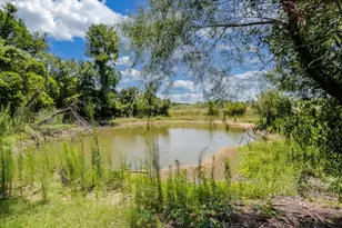 1409 County Rd 913, Burleson, TX 76028 - Photo 36