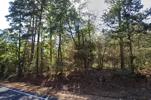 Tbd Fm 852, Winnsboro, TX 75494 - Photo 1