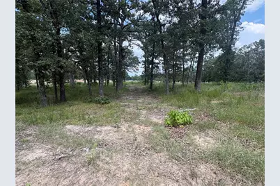 Tbd Pvt 5948 Road #23, Yantis, TX 75765 - Photo 6
