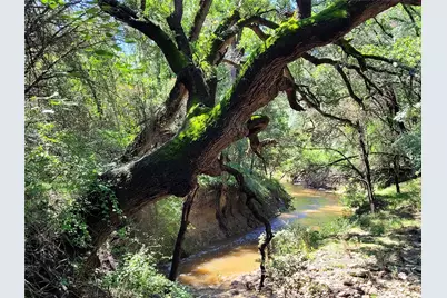 Tbd County Road 1139 575 Acres, Lampasas, TX 76550 - Photo 6