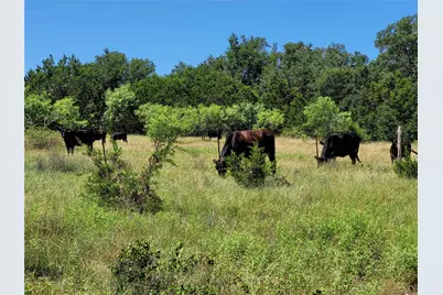 Tbd County Road 1139 575 Acres, Lampasas, TX 76550 - Photo 12
