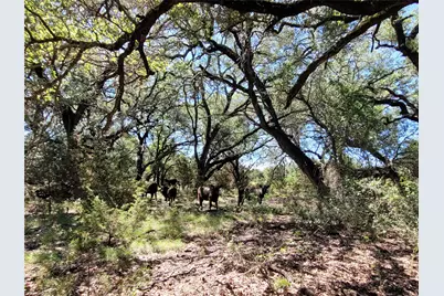 Tbd County Road 1139 575 Acres, Lampasas, TX 76550 - Photo 10