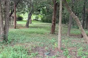 310 College St, Wilmer, TX 75172 - Photo 22