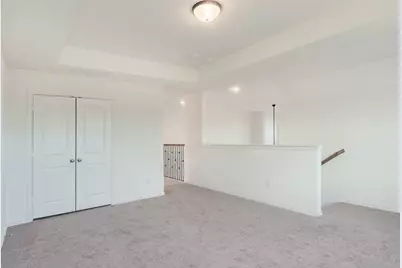234 Buffalo Boulevard, Rhome, TX 76078 - Photo 22