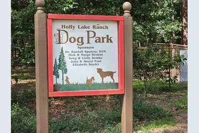 411 Green Meadow Trail, Holly Lake Ranch, TX 75765 - Photo 36