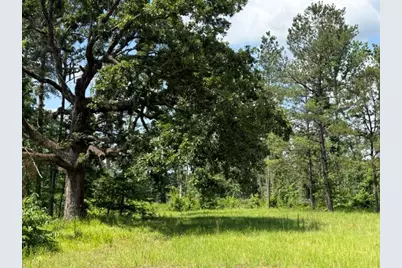 000 Highway 540 Highway, Homer, LA 71040 - Photo 6