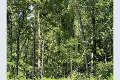 000 Highway 540 Highway, Homer, LA 71040 - Photo 14