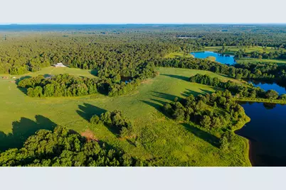 1040 County Road 3590, Winnsboro, TX 75494 - Photo 10