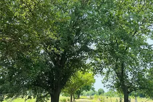 1655 E Fm 120, Denison, TX 75021 - Photo 1
