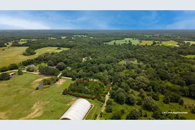 815 County Road 3611, Edgewood, TX 75117 - Photo 12