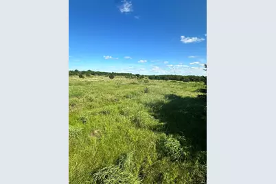 Lot 8 County Road 410, Callisburg, TX 76240 - Photo 4