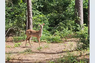 Tbd Green Meadow Trail (Lot 140), Holly Lake Ranch, TX 75765 - Photo 6