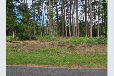 Tbd Green Meadow Trail (Lot 140), Holly Lake Ranch, TX 75765 - Photo 16