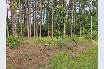 Tbd Green Meadow Trail (Lot 140), Holly Lake Ranch, TX 75765 - Photo 2