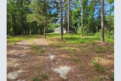 Tbd Green Meadow Trail (Lot 140), Holly Lake Ranch, TX 75765 - Photo 8