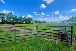 1692 Farm Rd 2653 S, Brashear, TX 75420 - Photo 4