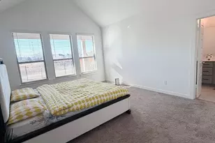 2817 Riverview Rd, Celina, TX 75009 - Photo 14