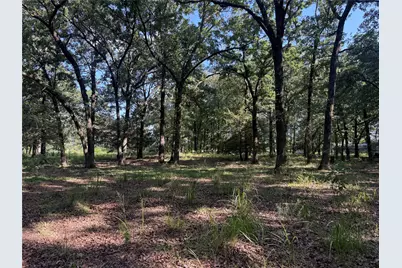 000 Cr 2418, Honey Grove, TX 75446 - Photo 4