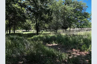 0 N Sandpiper Drive, Weatherford, TX 76088 - Photo 4