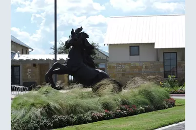 852 Sweet Iron Road, Frisco, TX 75036 - Photo 36