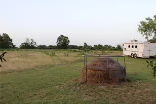 9612 W Hwy 199, Poolville, TX 76487 - Photo 20