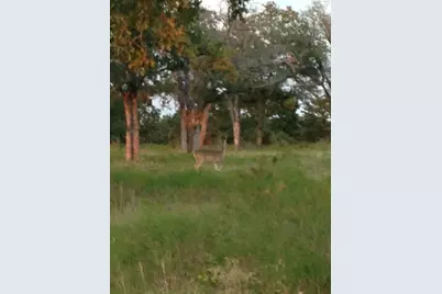 0000 County Rd 2225, Iredell, TX 76649 - Photo 10