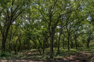1030 Shiloh Vista Ln, Tolar, TX 76476 - Photo 1