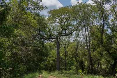 1030 Shiloh Vista Lane, Tolar, TX 76476 - Photo 12