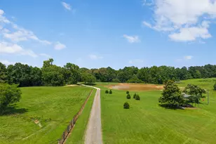 5884 FM 1650, Gilmer, TX 75645 - Photo 8