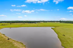 931 Vz County Road 2306, Canton, TX 75103 - Photo 30