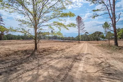 19451 County Road 4307 Road, LaRue, TX 75770 - Photo 6