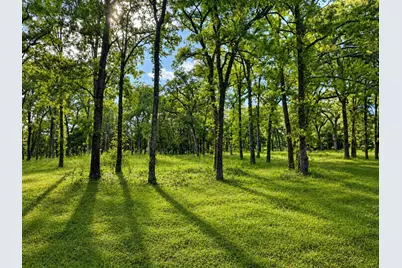 Tbd County Road 1503, Point, TX 75472 - Photo 1