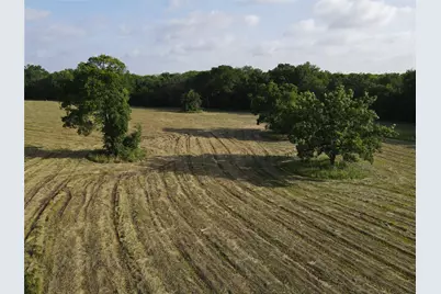 Tbd Seven Oaks Road, Bonham, TX 75418 - Photo 4