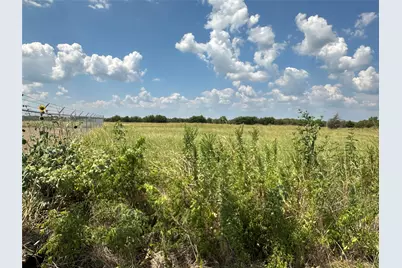 Lot 6 Rutledge Road, Whitewright, TX 75491 - Photo 8