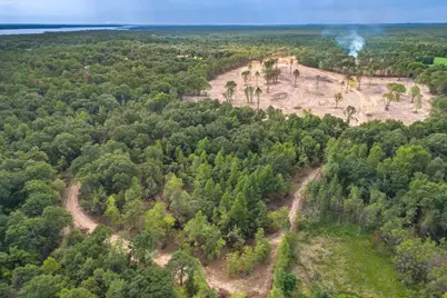Tract 1 - Tbd County Road 4307 Road, LaRue, TX 75770 - Photo 16